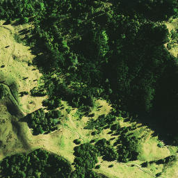 Satellite imagery of 1071, NZ