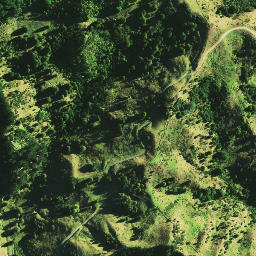 Satellite imagery of 1071, NZ