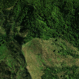 Satellite imagery of KAUAEPEPE NO 2, NZ