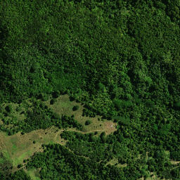Satellite imagery of KAUAEPEPE NO 2, NZ