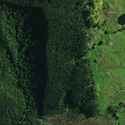 Satellite imagery of MANGAMUKA, NZ
