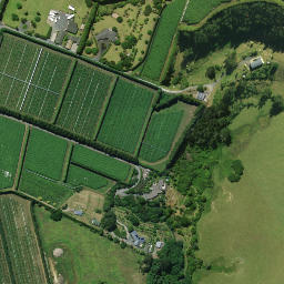 Satellite imagery of Pukewhau Pa, NZ