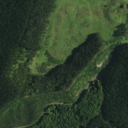 Satellite imagery of TE PUKE, NZ