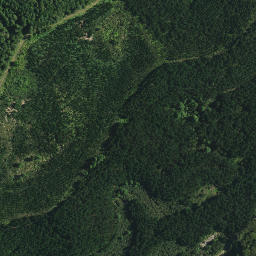 Satellite imagery of TE PUKE, NZ