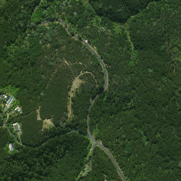 Satellite imagery of Kororareka Point, NZ
