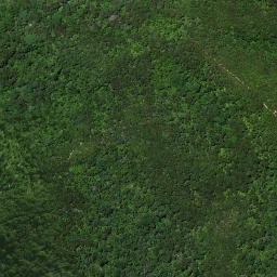 Satellite imagery of Karaka Point, NZ