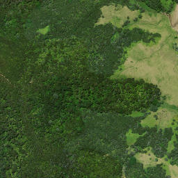 Satellite imagery of Karaka Point, NZ
