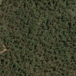 Satellite imagery of Snow Gum Mountain, AU