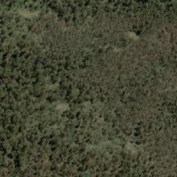 Satellite imagery of Snow Gum Mountain, AU
