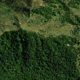 Satellite imagery of KAUAEPEPE NO 2, NZ