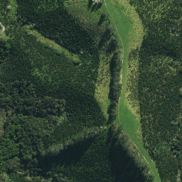 Satellite imagery of M NO 2, NZ