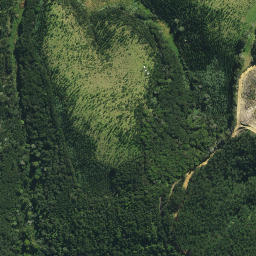 Satellite imagery of M NO 2, NZ