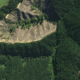Satellite imagery of M NO 2, NZ