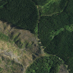Satellite imagery of TE PUKE, NZ