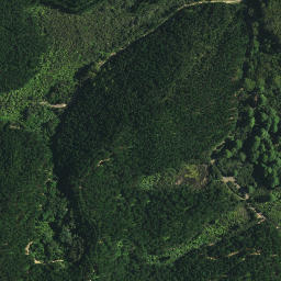 Satellite imagery of TE PUKE, NZ