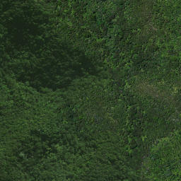 Satellite imagery of Karaka Point, NZ