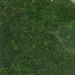 Satellite imagery of Karaka Point, NZ