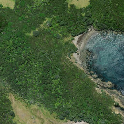 Satellite imagery of Karaka Point, NZ