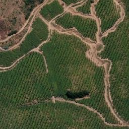 Satellite imagery of Loma Amarilla, CL