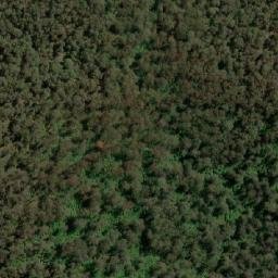 Satellite imagery of Snow Gum Mountain, AU