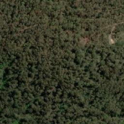 Satellite imagery of Snow Gum Mountain, AU