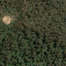 Satellite imagery of Snow Gum Mountain, AU