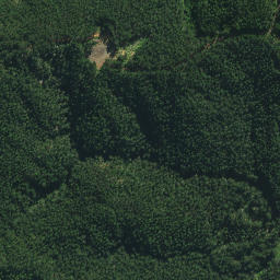 Satellite imagery of M NO 2, NZ