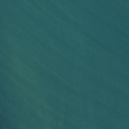 Satellite imagery of Te Whare Runanga, NZ