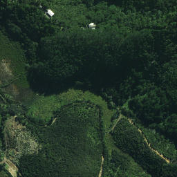 Satellite imagery of Rangihoua Pa, NZ