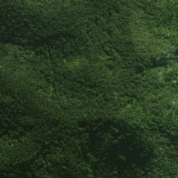 Satellite imagery of Karaka Point, NZ