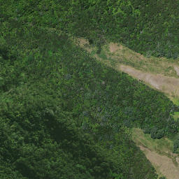 Satellite imagery of Karaka Point, NZ