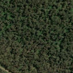 Satellite imagery of Snow Gum Mountain, AU