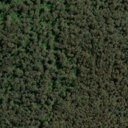 Satellite imagery of Snow Gum Mountain, AU