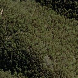 Satellite imagery of Dingi Dingi Ridge, AU