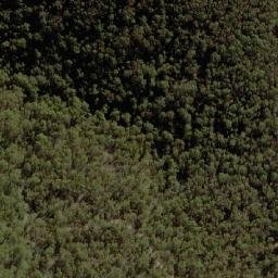 Satellite imagery of Dingi Dingi Ridge, AU