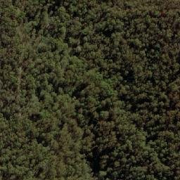 Satellite imagery of Dingi Dingi Ridge, AU