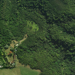 Satellite imagery of M NO 2, NZ