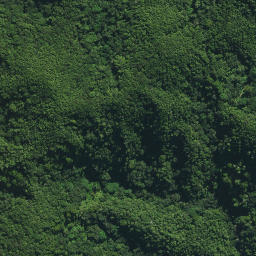 Satellite imagery of M NO 2, NZ