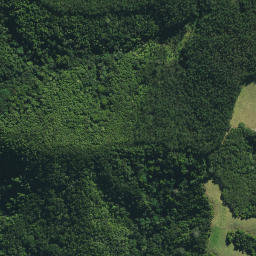 Satellite imagery of M NO 2, NZ
