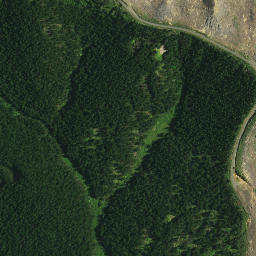 Satellite imagery of 1191, NZ