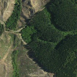 Satellite imagery of 1191, NZ