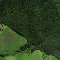 Satellite imagery of Matawhero Pa, NZ