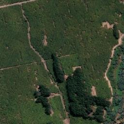 Satellite imagery of Loma Amarilla, CL