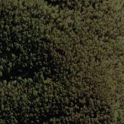 Satellite imagery of Dingi Dingi Ridge, AU