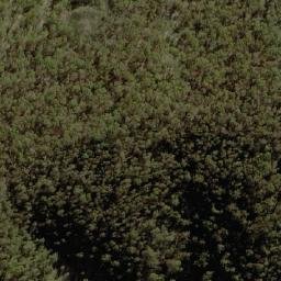 Satellite imagery of Dingi Dingi Ridge, AU