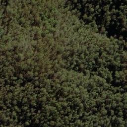 Satellite imagery of Dingi Dingi Ridge, AU