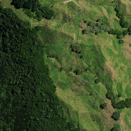 Satellite imagery of NGATIEKE NO 3, NZ