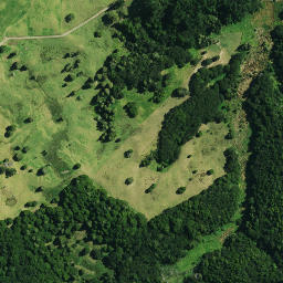 Satellite imagery of OTURIA, NZ