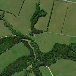 Satellite imagery of H NO 2, NZ