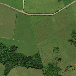 Satellite imagery of H NO 2, NZ